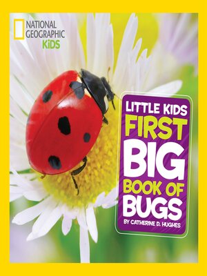 cover image of Little Kids First Big Book of Bugs